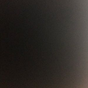 Meet your Posher, Bailey